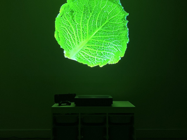 Wemax Nova Short-throw 4K Laser Projector Review